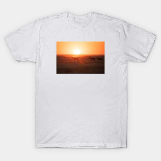 African Sunset T-Shirt by withluke